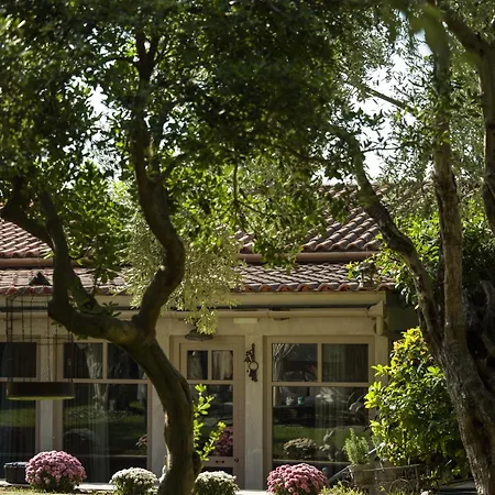 Six Keys アフィソス