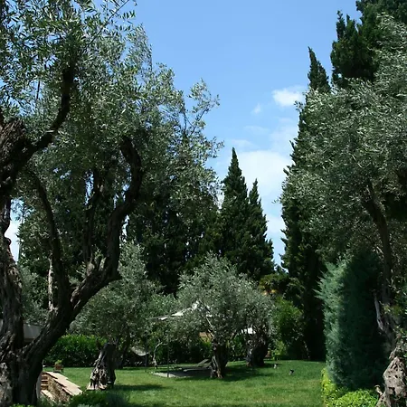 Six Keys أفيسوس