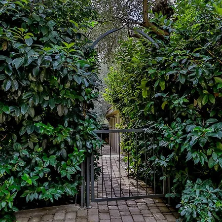 Six Keys أفيسوس